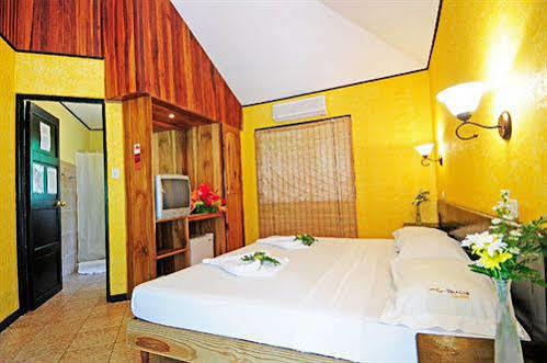 Hotel Villa Teca Vườn quốc gia Vườn quốc gia Manuel Antonio Ngoại thất bức ảnh